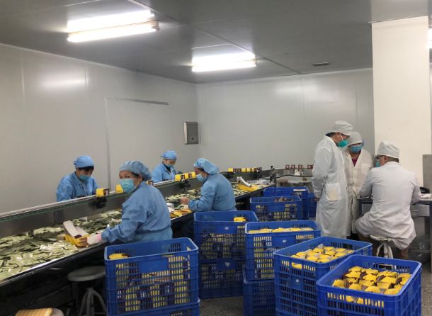 【初心如磐，使命在肩】征途国际官网第三党支部组织员工提前复工包管生产