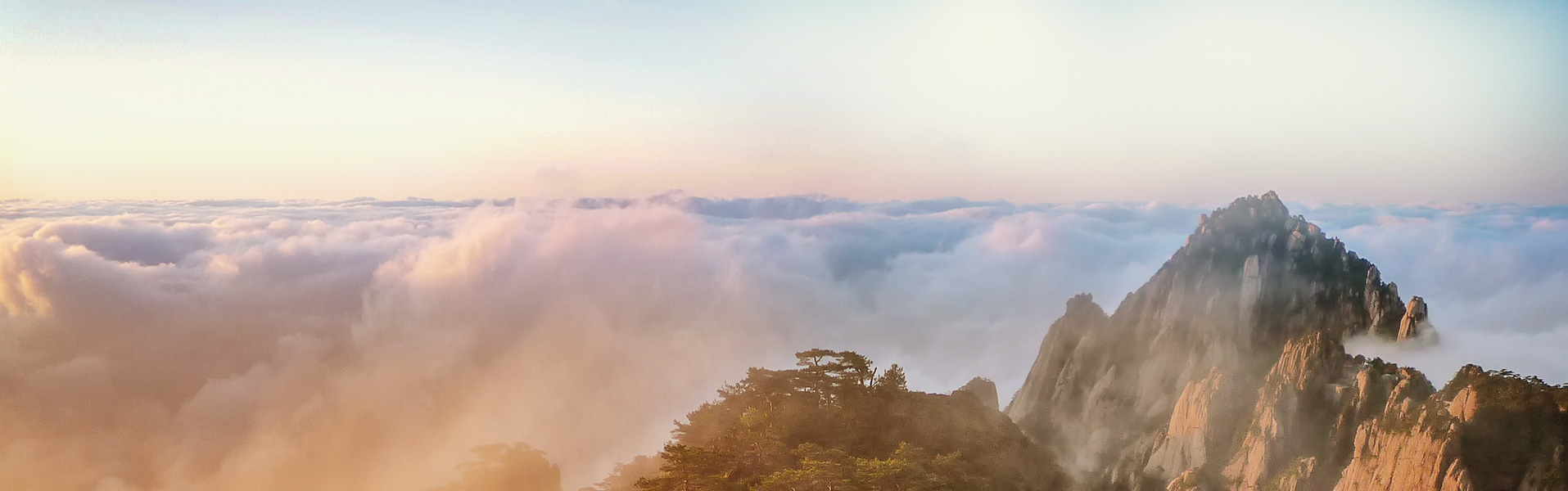 征途国际官网-不凡成绩非凡,相信品牌的实力