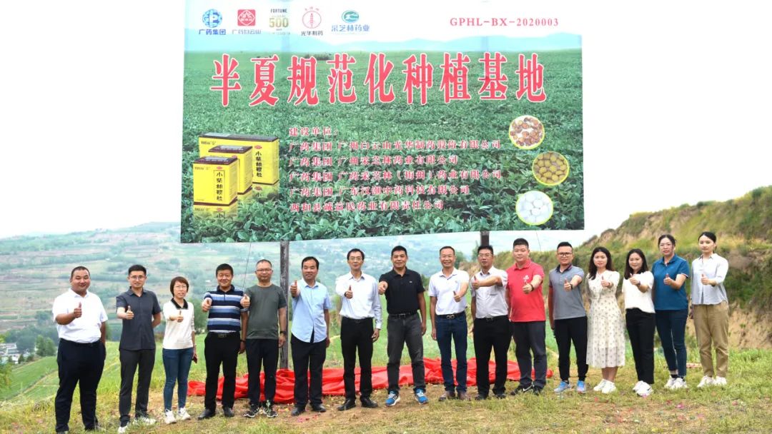 白云山征途国际官网公司实地考察调研中药材规范化基地