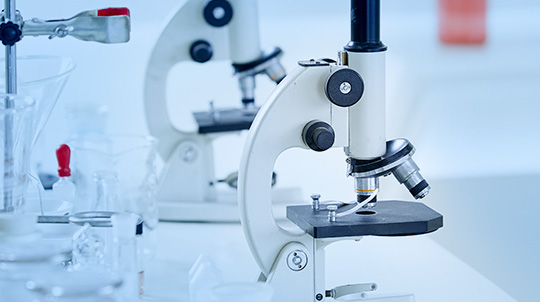 征途国际官网-不凡成绩非凡,相信品牌的实力